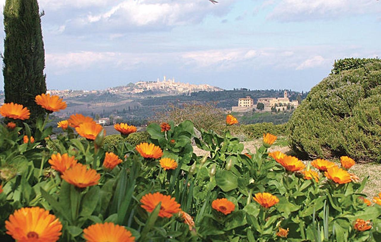 Agriturismo Fattoria Il Piano - Appartamento Stalla - サン・ジミニャーノ エクステリア 写真